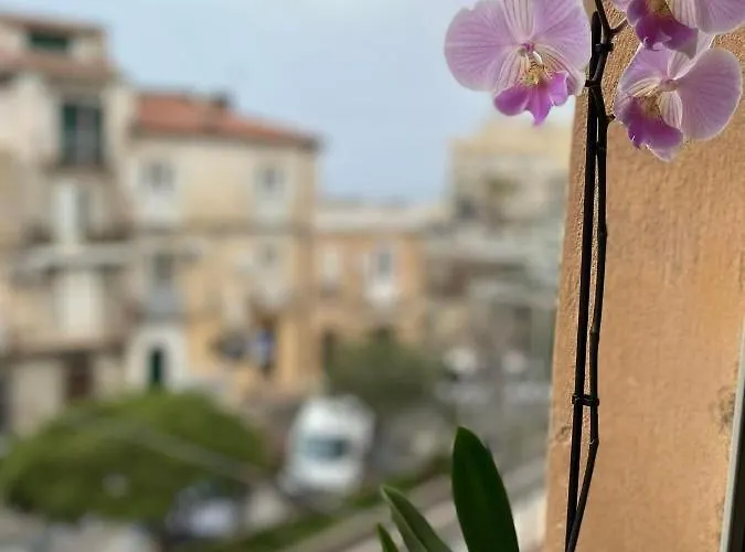 招待所 Don Ugo Luxury